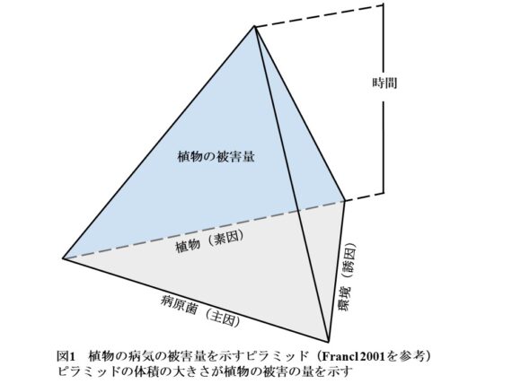 歴史に残る植物の病気1