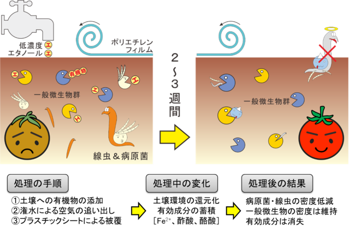 土壌還元消毒のメカニズム