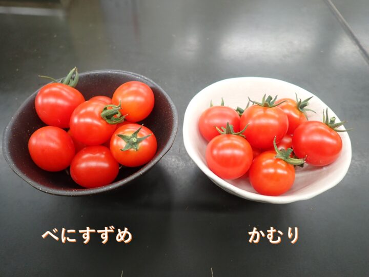 つのちゃんの栽培日記　～100均グッズでおうち野菜～（９）